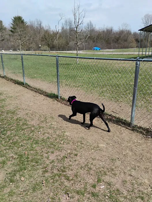 Pontiac Lake Dog Park A & B 7