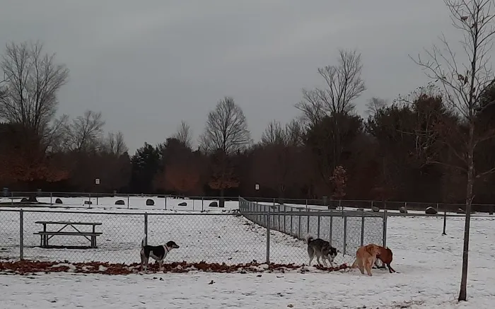 Pontiac Lake Dog Park A & B 1