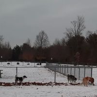 Pontiac Lake Dog Park A & B ico