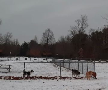 Pontiac Lake Dog Park A & B