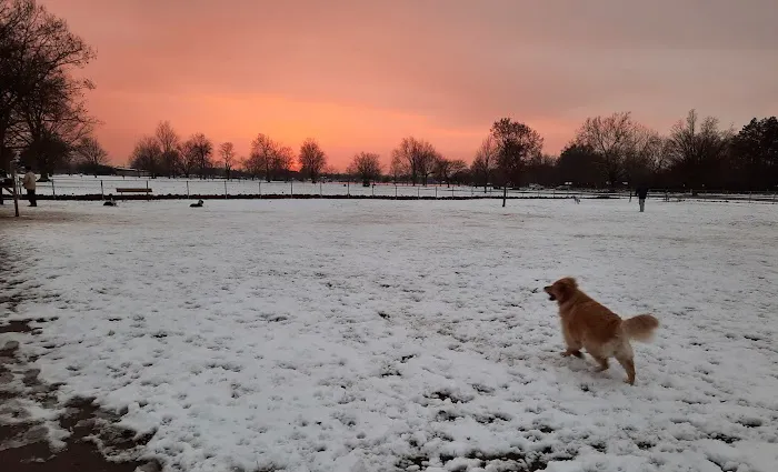 Pontiac Lake Dog Park A & B 2