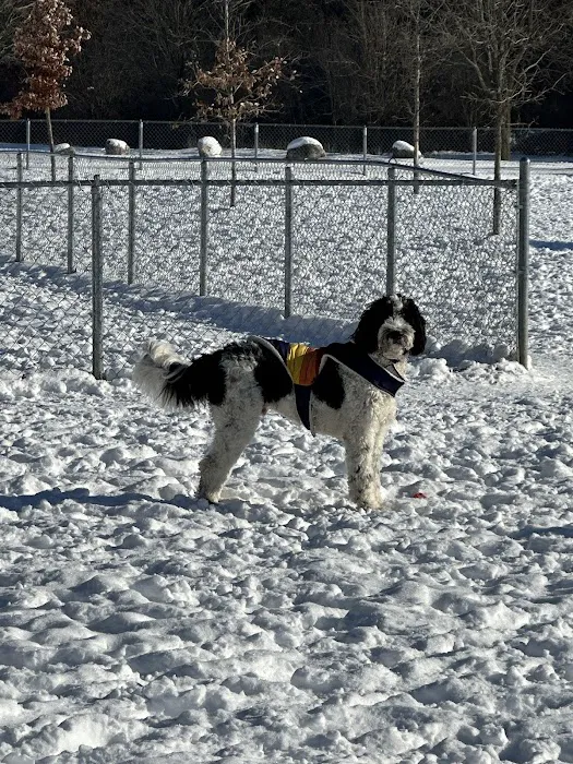 Pontiac Lake Dog Park A & B 6
