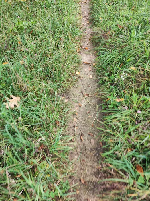 Sod Farm Field Trial Grounds 9