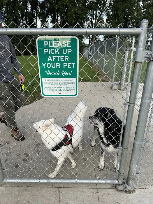 East China Dog Park 5
