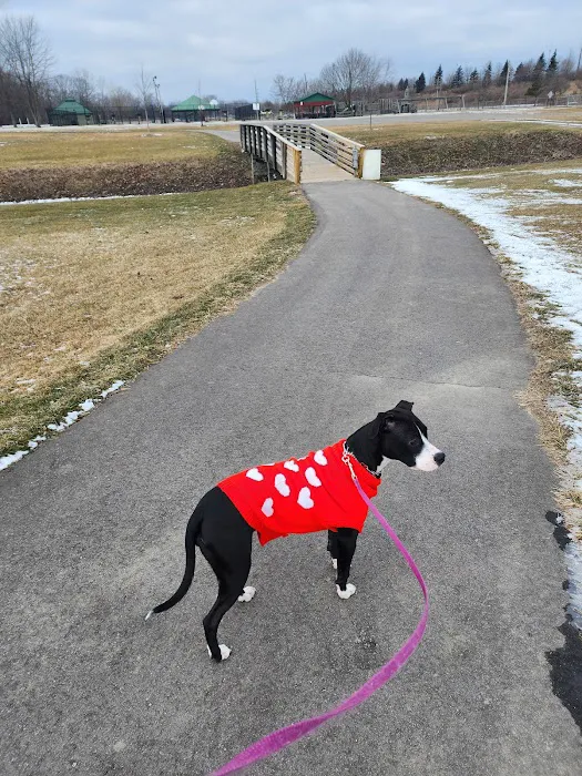 East China Dog Park 1