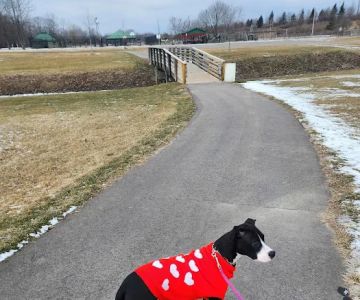 East China Dog Park
