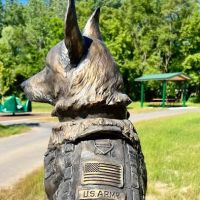 Brighton Township Veterans Park ico