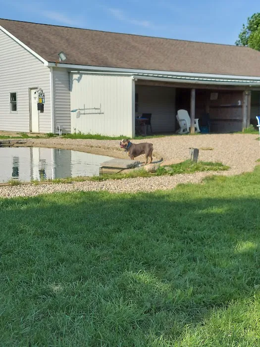 EZDogPark 3