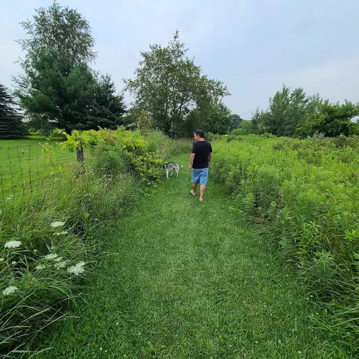 EZDogPark 2