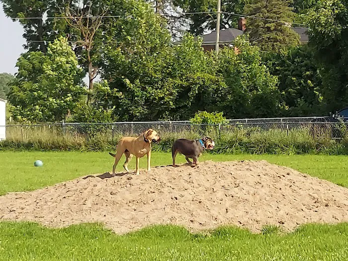 EZDogPark 6