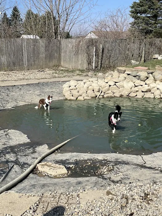 EZDogPark 10