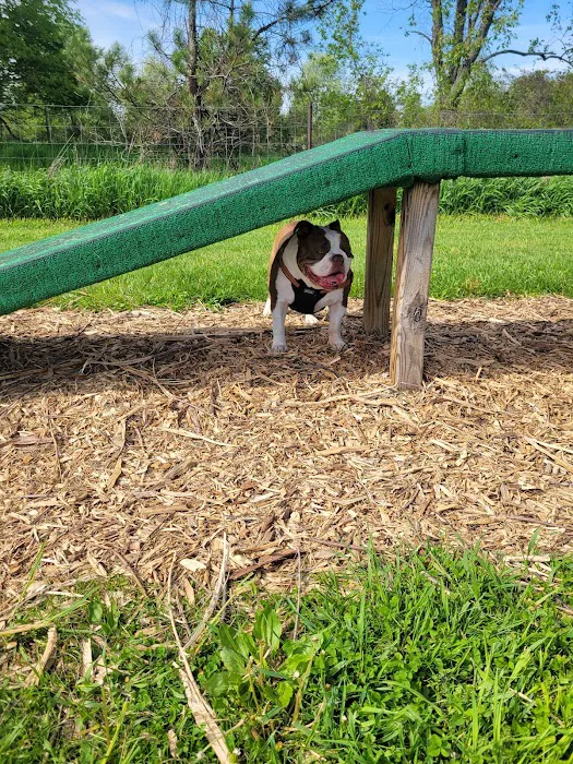 Dog Park at Arise Church 4