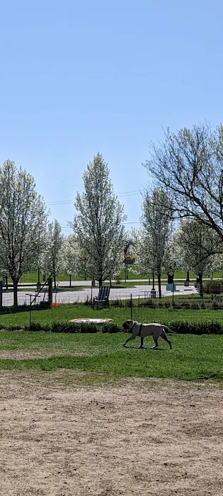 Dog Park at Arise Church 5