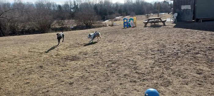Dog Park at Arise Church 1