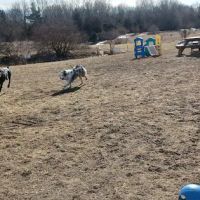 Dog Park at Arise Church ico
