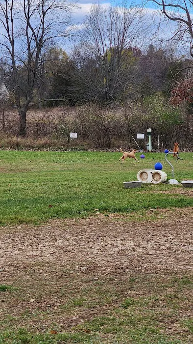 Dog Park at Arise Church 2