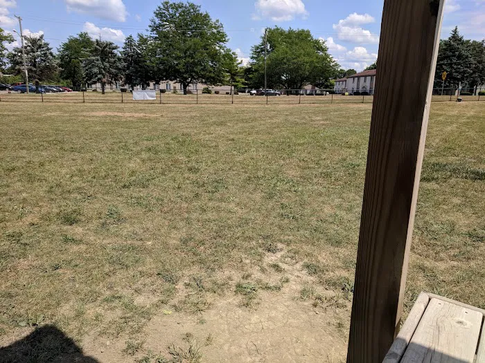 Countryside Veterinary Dog Park 6