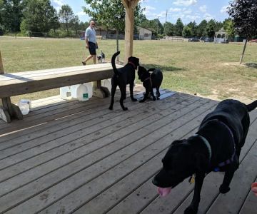 Countryside Veterinary Dog Park