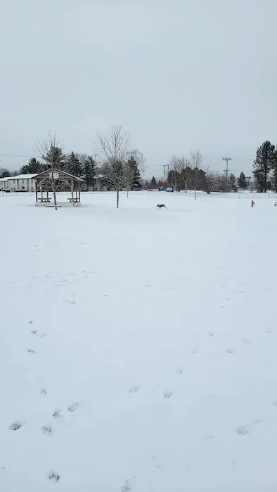 Countryside Veterinary Dog Park 5