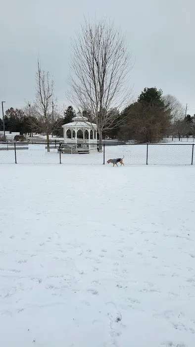 Countryside Veterinary Dog Park 4