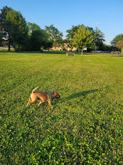 Countryside Veterinary Dog Park 7