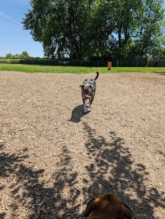Thompson Road Regional Dog Park 10