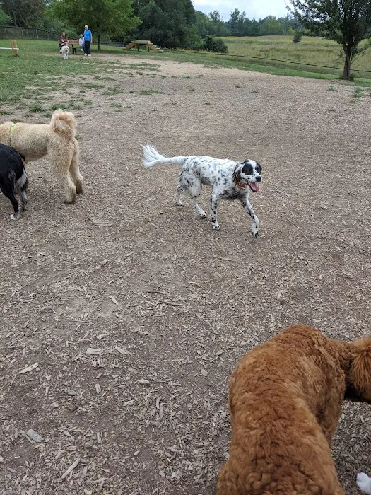 Thompson Road Regional Dog Park 6