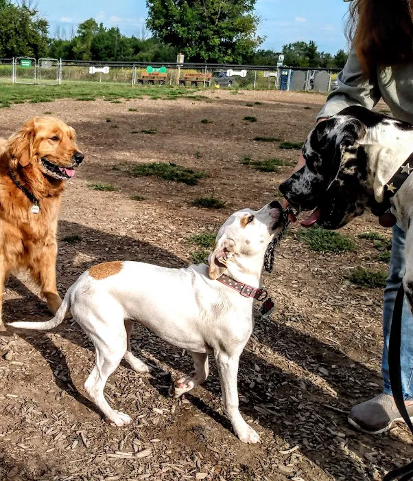 Thompson Road Regional Dog Park 1