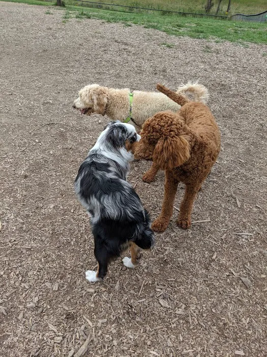 Thompson Road Regional Dog Park 9