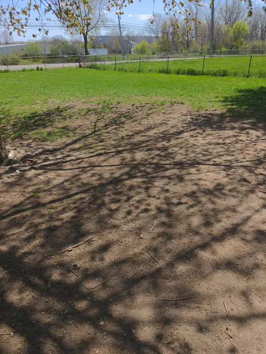 Dog Daze Park 1