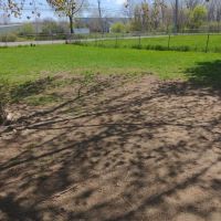 Dog Daze Park ico