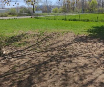 Dog Daze Park
