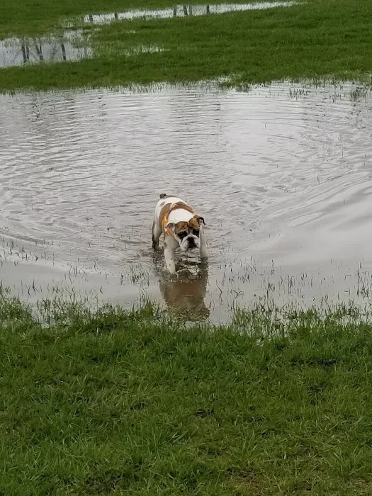 Fort Gratiot Canine Commons 7
