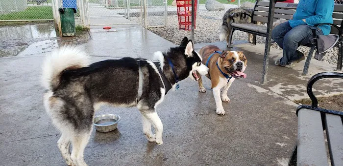Fort Gratiot Canine Commons 3