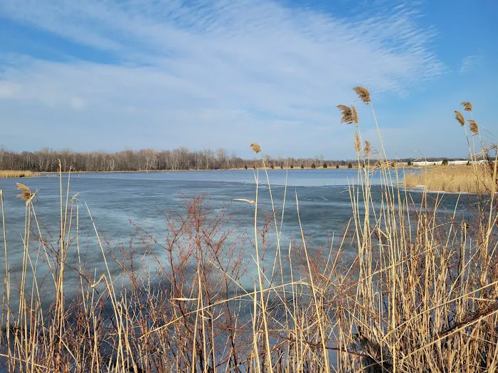 Fort Gratiot Canine Commons 6