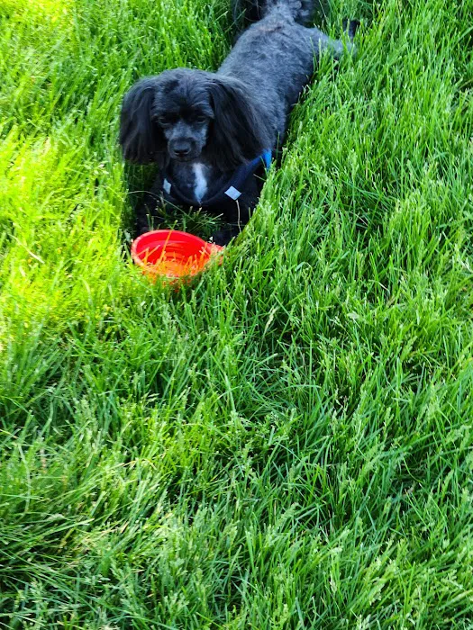 Fort Gratiot Canine Commons 10