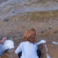 Dog Beach ico