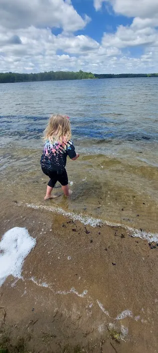 Dog Beach 2
