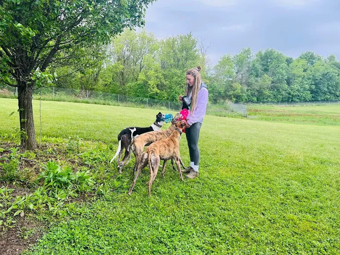 Joey's Pet Outfitters Dog Park 2