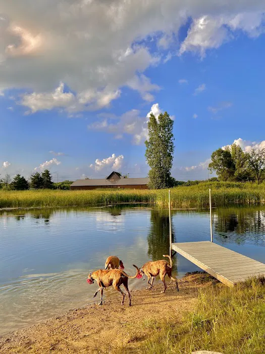 Joey's Pet Outfitters Dog Park 6