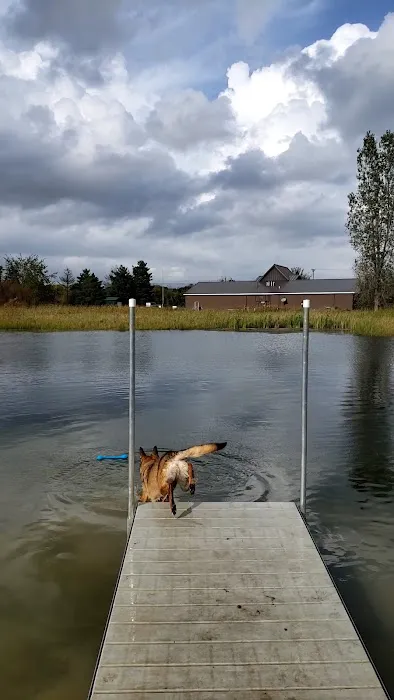 Joey's Pet Outfitters Dog Park 4