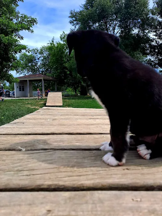 Grand Blanc Dog Park 7