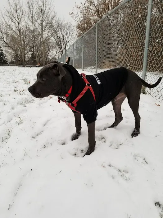 Grand Blanc Dog Park 8