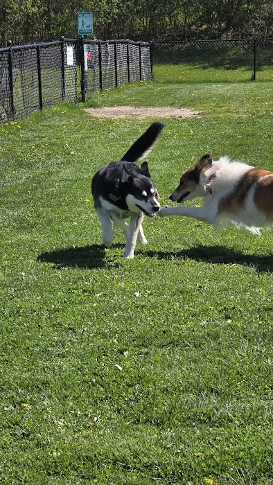 Swartz Creek Dog Park 3