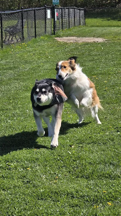 Swartz Creek Dog Park 2