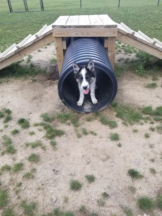 Swartz Creek Dog Park 7