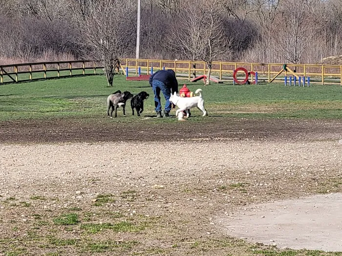Davison Area Dog Park 4
