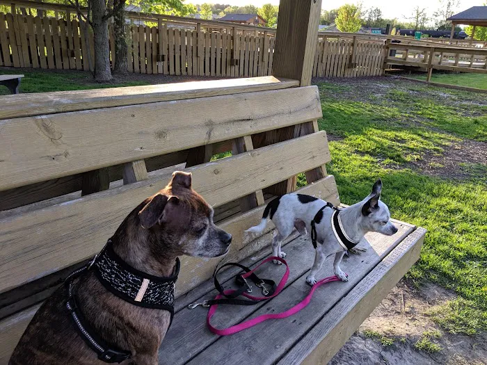 Davison Area Dog Park 5
