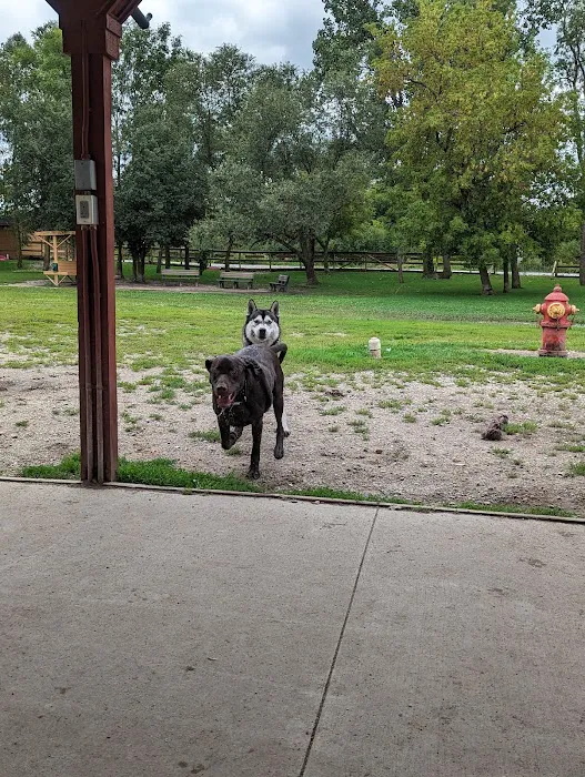Davison Area Dog Park 6