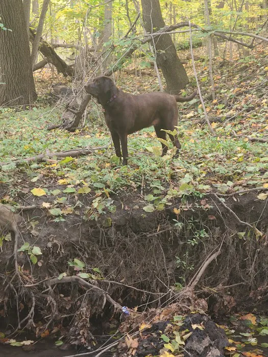 Adrian Dog Park 2